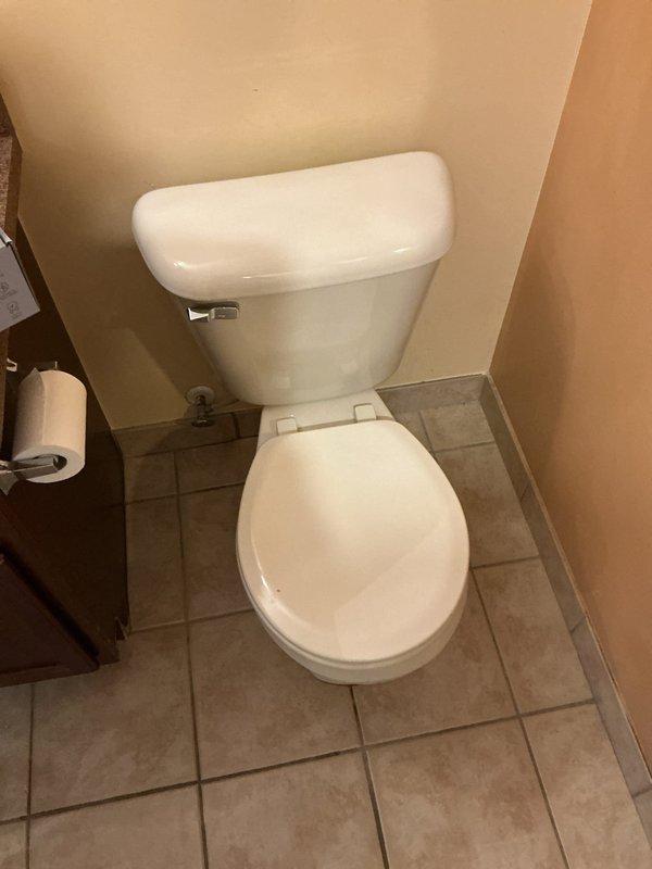 Provided quote for installation of customer-supplied toilet and showerhead. Assessed existing bathroom layout and plumbing connections to determine installation requirements. Verified water supply line and shut-off valve accessibility for fixture replacement.