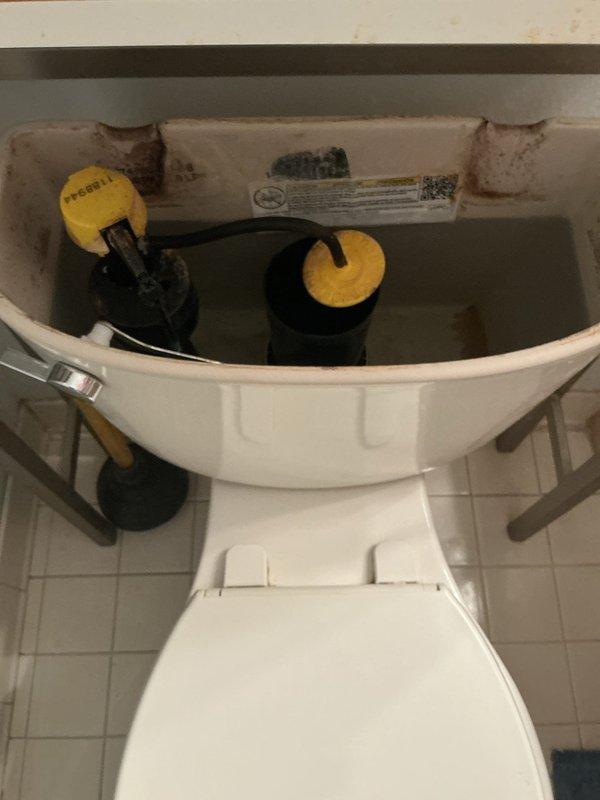 Responded to first-floor toilet not flushing properly with water failing to drain from bowl. Upon inspection, found original flush mechanism from 2014 showing significant wear and mineral buildup consistent with heavy daily use. Removed tank lid and assessed flush valve and fill valve assemblies, both exhibiting deterioration of internal components. Replaced complete flush valve assembly including flapper and overflow tube, and installed new fill valve with adjustable float mechanism. Tested flush cycle multiple times to verify proper water flow, bowl evacuation, and tank refill operation. Adjusted water level to manufacturer specifications and confirmed shut-off valve and supply line connections were secure with no leaks. Toilet now flushing completely and refilling properly.