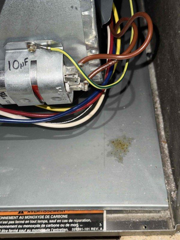 Performed comprehensive Gold AC Inspection on backyard air conditioning unit. Conducted electrical diagnostics using digital multimeter to verify system voltages and amperage readings. Inspected and tested 10μF capacitor, confirming proper electrical connections and secure mounting. All wiring terminals examined for tightness and integrity, with no signs of overheating or corrosion detected. System operating within normal parameters with no deficiencies noted.