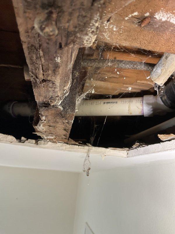 # Plumbing Repair - Water Damage and Deteriorated Piping System

Responded to plumbing issue requiring access through ceiling cavity. Upon investigation, discovered extensive moisture damage to wooden framing members with visible mold growth and mineral deposits throughout the affected area. Exposed deteriorated plumbing infrastructure including aged metal pipes, brass fittings, and corroded valve assembly.

Cut rectangular access opening in ceiling to properly assess extent of damage and access compromised plumbing components. Found significant water intrusion had caused structural deterioration to surrounding wood framing, with evidence of long-term moisture exposure including white powdery mold residue, cracked lumber, and oxidized metal fixtures.

Identified failing brass valve mechanism and corroded threaded pipe connections as primary source of water infiltration. Removed deteriorated piping components and corroded brass fittings. Cleaned affected area of debris, cobwebs, and bio