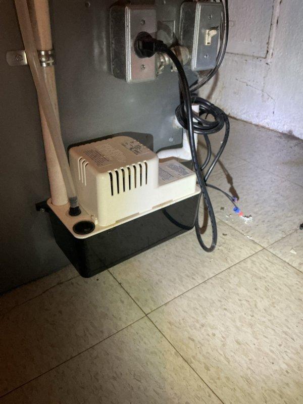 Completed comprehensive Gold AC inspection and tune-up on 30-year-old air conditioning system as part of annual maintenance program. System found operating properly with all components functioning within normal parameters. Inspected air handler unit, condensate pump with drain pan assembly, and associated drainage piping. Verified electrical connections at condensate pump and wall outlet, checked copper refrigerant lines and PVC condensate drain lines for proper installation and operation. Documented equipment condition through photographic records showing utility area installation, air handler with metal ductwork, and condensate management system. All safety labels and warning decals confirmed present and legible on equipment. System cleared for continued operation with next scheduled maintenance due in 2026.