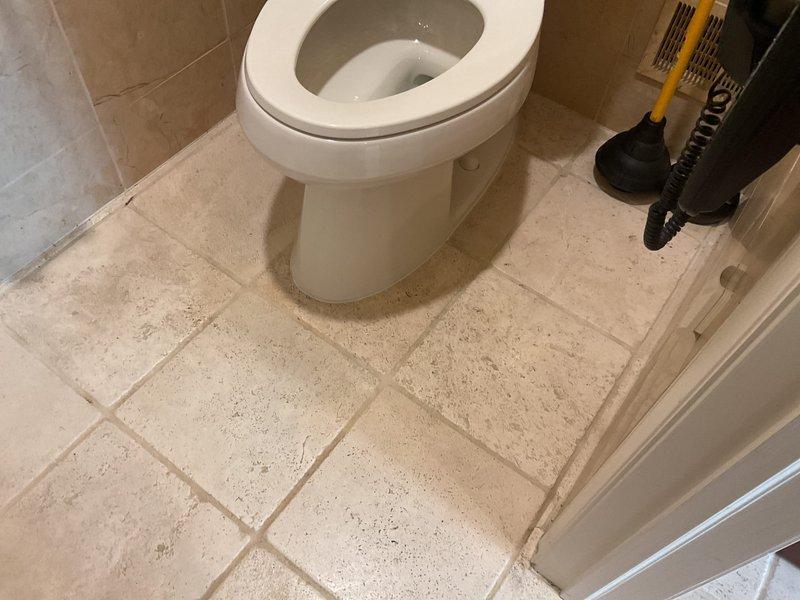 Responded to service call for bathroom plumbing assessment. Upon inspection, identified floor drain with visible staining and residue accumulation around the fixture, indicating potential drainage issues or backup concerns. Evaluated the drain assembly, including the metal mounting flange and connected braided stainless steel supply line with chrome coupling. Assessed overall bathroom plumbing system functionality, including toilet operation and fixture condition. Provided comprehensive quote for necessary repairs to address drainage concerns and restore proper function to the floor drain system. Customer accepted proposed repair solution.
