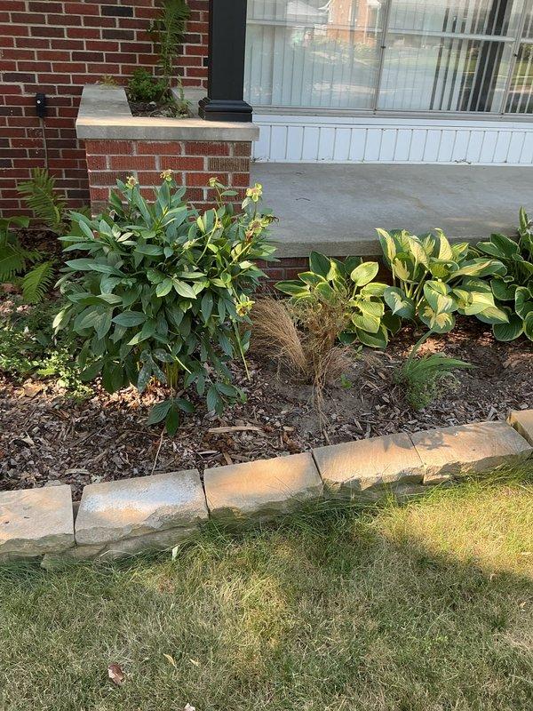 Responded to whole-house plumbing backup affecting all fixtures in 60-year-old residential property. Located main sewer cleanout access point in basement floor and successfully cleared complete blockage in main drain line using professional drain cleaning equipment. Restored full drainage functionality to all affected fixtures including toilets, sinks, and basement drains, with system tested and confirmed operational upon completion.