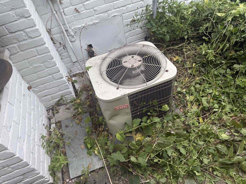 Completed comprehensive tune-up inspection on two Bryant HVAC systems (10+ years old) with air handlers located in basement and garage. Performed standard maintenance procedures on both outdoor condenser units and indoor air handling equipment, documenting blower performance data for ML180UH045E36AK and ML180UH070E36AK models. Noted significant vegetation overgrowth around exterior condenser unit requiring clearance to maintain proper airflow and system efficiency; recommended debris removal for optimal operation.