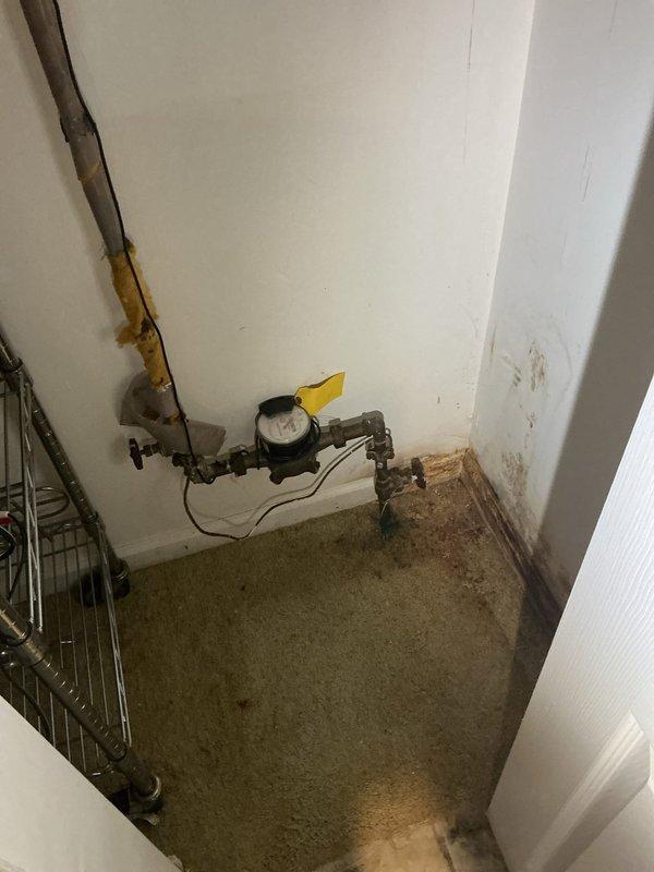 Completed installation of a 40-gallon Bradford White residential water heater in basement utility area. Unit was positioned on level concrete floor between existing wall framing with proper clearances maintained. Connected copper supply and outlet piping with heat trap fittings at top of tank, integrated all connections into existing plumbing system including tie-in at water meter location. Installed chimney liner for proper venting of combustion gases. Verified all manufacturer specifications, safety labels, and operational controls were properly displayed and functional. Tested drain valve operation and confirmed burner assembly installation. System commissioned and operational upon completion.
