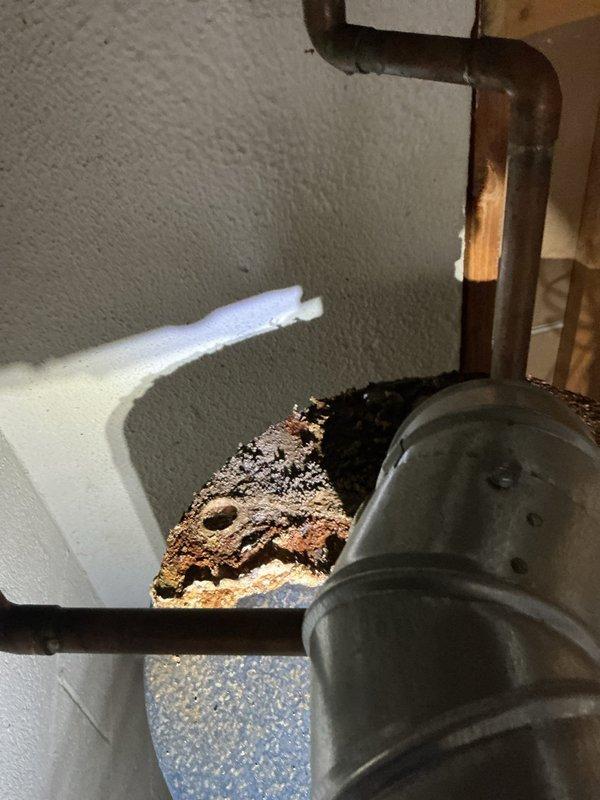Completed Gold AC inspection on 12-year-old system located in basement. Performed comprehensive evaluation of all air conditioning components including refrigerant lines, connections, and associated equipment. Documented significant corrosion and deterioration on refrigerant line insulation and pipe connections, as well as rust buildup on water heater components in mechanical space, indicating moisture exposure concerns that may require future attention to prevent system degradation.