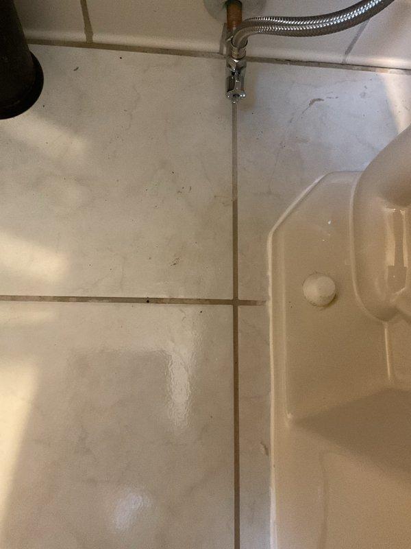 Completed plumbing estimate for toilet replacement in first-floor bathroom of century-old home. Assessed existing white porcelain toilet, bathroom layout, and plumbing infrastructure including water supply lines and floor mounting conditions on tile flooring. Documented current fixture condition and provided replacement recommendations based on existing plumbing configuration.