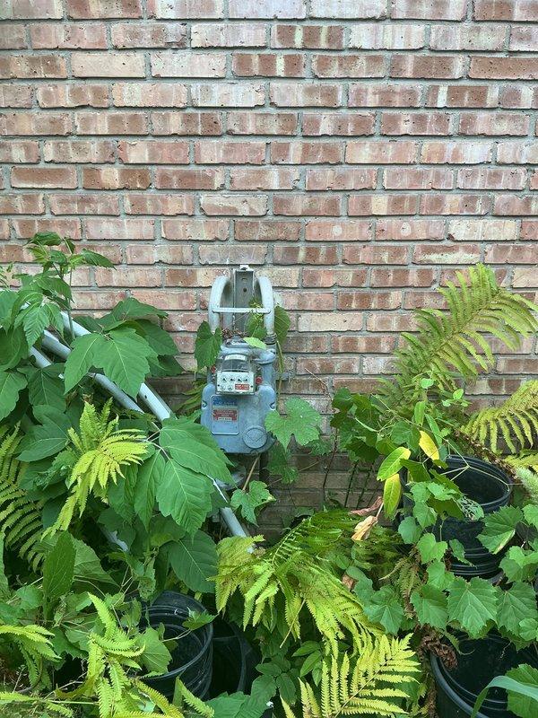 Completed electrical estimate for new whole home generator installation at residential property. Assessed existing natural gas meter and electrical service panel locations on exterior brick wall to determine optimal generator placement and connection points. Documented current utility infrastructure including gas line accessibility and electrical service capacity for proper generator system sizing and installation planning.