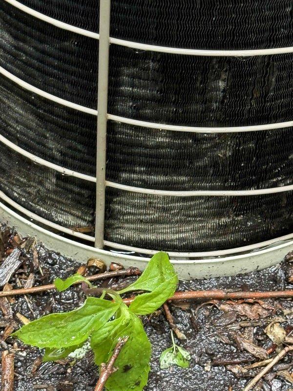 Completed comprehensive Gold AC inspection on 10+ year old residential air conditioning system with air handler located in basement. Performed electrical diagnostics using clamp meter to verify proper amperage draw and system performance. Inspected outdoor condenser unit and noted debris accumulation at base including organic material and vegetation growth, as well as dust buildup in condenser coil fins. Confirmed system is currently operational. Documented equipment condition through photography for maintenance records. Homeowner present during inspection of single-unit system.