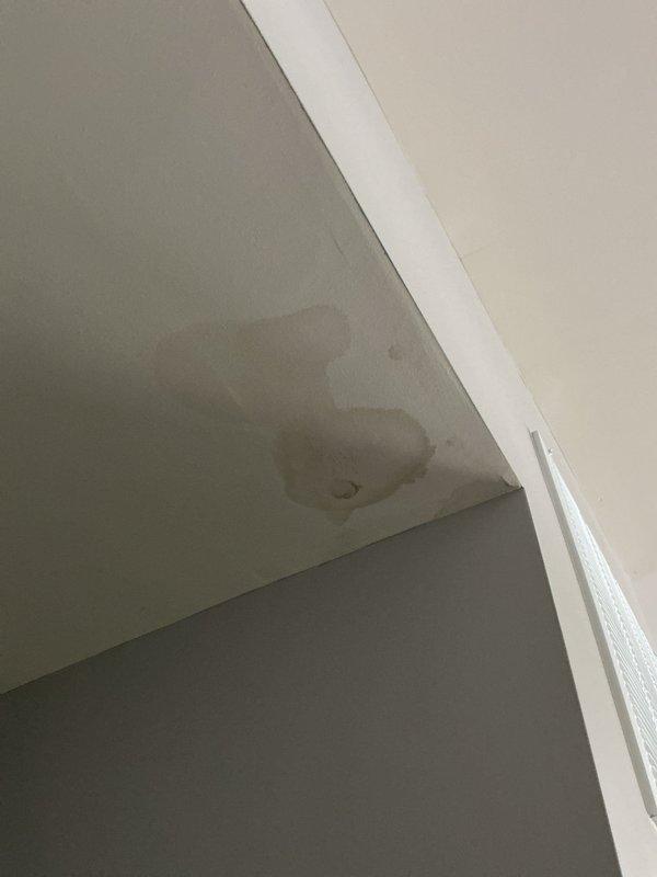 Responded to a second-floor shower leak that had been occurring for four days in the area near the shower drain. Upon inspection, identified active water infiltration causing visible ceiling damage in the room below, evidenced by brownish-gray water staining with characteristic darker edges. Accessed the shower drain assembly, removed the drain cover and strainer, and inspected the drain connection and surrounding waterproofing. Found compromised seal between the shower pan and drain assembly allowing water to bypass the drainage system. Removed existing putty and sealant, cleaned all mating surfaces, and reinstalled the drain with fresh plumber's putty and silicone sealant to create a watertight connection. Performed water test by running the shower and filling the pan to verify proper drainage and confirm no further leakage. Documented pre-existing conditions and completed repairs with photographic evidence showing the modern single-handle chrome shower fixture and tiled enclosure, a