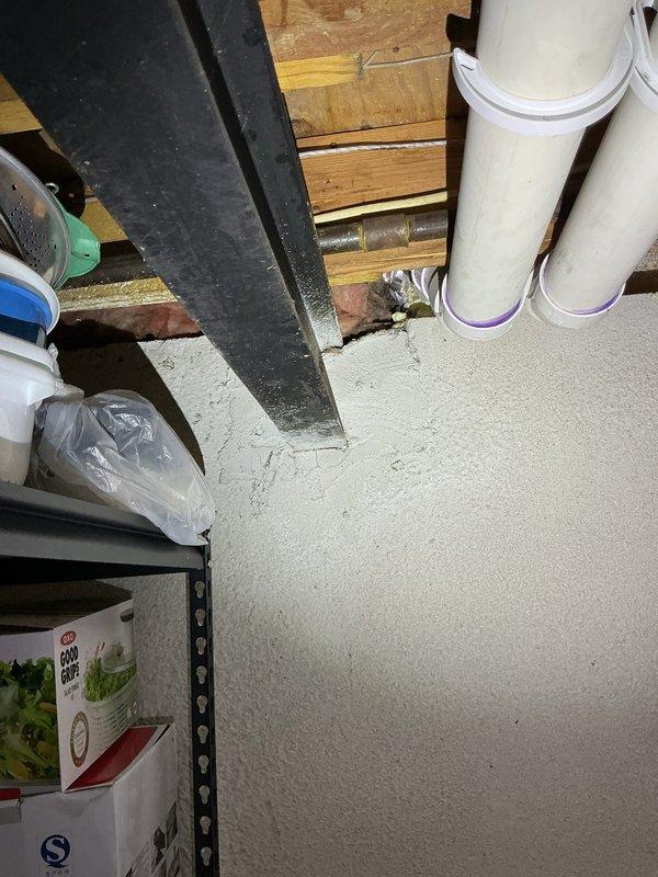 Provided quote for installation of gas line to supply kitchen appliances. Assessed existing utility area and plumbing infrastructure to determine optimal routing for new gas piping. Documented current conditions including location of existing drainage systems, structural supports, and available pathways for gas line installation.