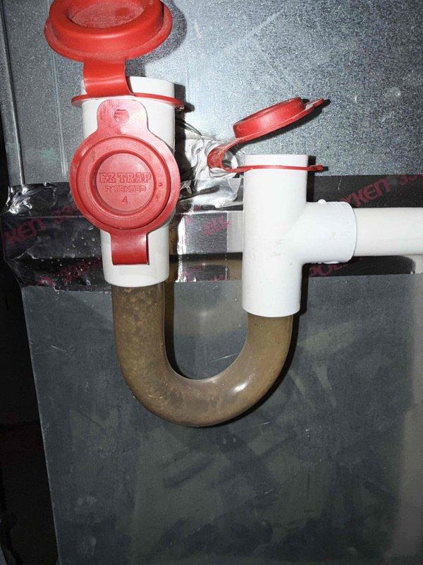Completed comprehensive Gold AC Inspection on 20-year-old Bryant outdoor condensing unit located at rear of property. Performed full system evaluation including visual inspection of cabinet condition, fan operation, refrigerant line connections, and electrical components. Inspected associated basement air handler and plumbing connections, noting trap primer and shutoff valve installation beneath unit. All equipment found operational at time of inspection with no immediate service needs identified.