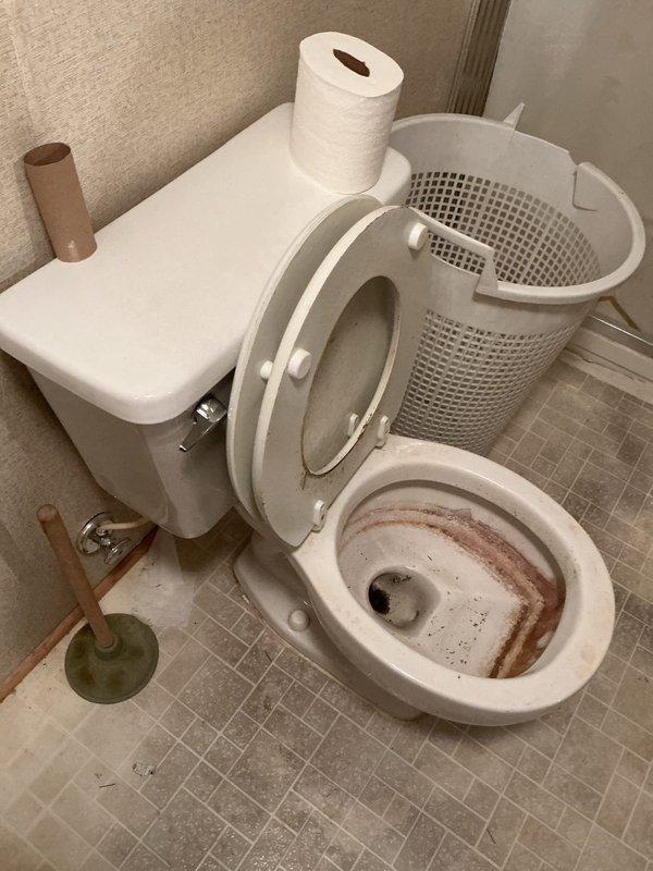 Replaced two existing toilets with new comfort-height elongated bowl models at customer request. First unit installed in basement bathroom, second unit installed in master bathroom. Removed old fixtures showing mineral deposit buildup and interior staining, disconnected water supply lines, unbolted from floor flanges, and properly disposed of old units. Installed new wax rings, positioned and secured new toilets to floor flanges with closet bolts, reconnected water supply lines with new shut-off valves, tested flush mechanisms for proper operation, and verified all connections for leaks. Both installations completed successfully with no water leakage detected.