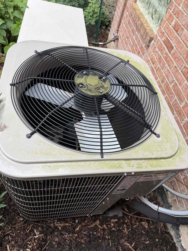 Completed comprehensive Gold Plan spring maintenance inspection on 12-year-old residential air conditioning system located at rear of property. Performed complete AC tune-up including visual inspection of outdoor condenser unit, which revealed organic growth accumulation (algae/mold) on top panel surface and fan housing area, indicating extended outdoor exposure. Inspected condenser fan assembly with protective guard grating, verified proper mounting and structural integrity of unit. Examined metal grille panels for adequate airflow circulation and checked flexible conduit connections. Assessed overall system condition appropriate for unit age, with exterior components showing normal weathering patterns. Condenser unit positioned on mulch bed against brick wall structure with adequate clearance for service access. No operational issues reported by customer prior to service call. Documented equipment condition through photographic records for maintenance history. System operational and 