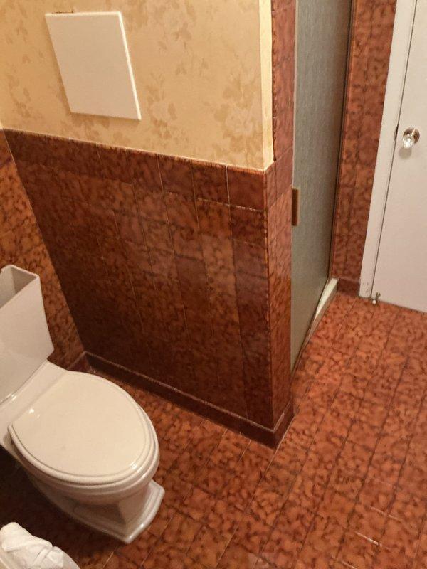 Performed diagnostic camera inspection of drain line to assess potential repairs needed. Lifted, scoped, and reset toilet in bathroom with terra cotta speckled tile flooring to access drain system. Camera inspection completed to evaluate interior condition of drainage piping and identify any blockages, damage, or structural issues requiring remediation.