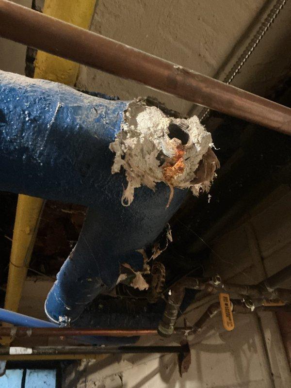 Responded to service call for damaged piping associated with forced air furnace system located in basement. Upon inspection, identified significant deterioration of insulation on supply piping, with exposed sections revealing underlying copper pipe and signs of corrosion at breach points. Documented existing plumbing infrastructure condition, including aged shut-off valves and horizontal pipe connections showing oxidation. Photographed damaged blue insulation wrapping with torn sections exposing white fibrous insulation material and compromised pipe integrity. Assessed overall mechanical room conditions and utility line configuration to determine extent of repairs needed for proper system operation and energy efficiency restoration.