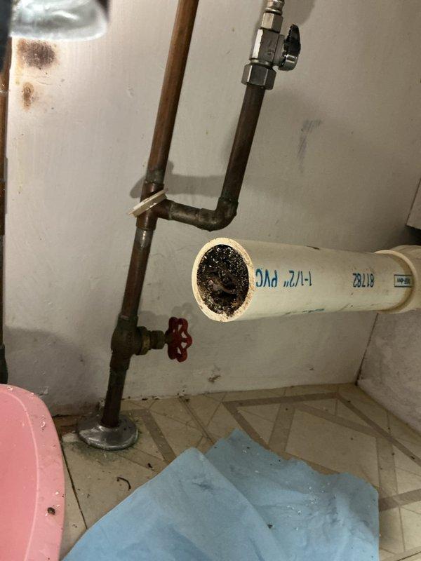 Responded to service call regarding inadequate piping length connecting faucet and garbage disposal, along with cross-contamination issue causing water to run from faucet during shower operation. Upon inspection, discovered improper drain configuration with white PVC piping showing significant internal debris accumulation and blockage. The existing trap assembly was positioned incorrectly with insufficient pipe extensions to reach proper connection points at both the faucet drain and garbage disposal unit.

Documented existing conditions showing copper supply lines with oxidation, flexible braided supply hoses, and compromised PVC drain pipe marked as old installation. The cut section of drain pipe revealed heavy buildup restricting proper water flow, which contributed to the cross-flow problem between fixtures. Verified water heater connections and shut-off valve functionality during assessment. Pink collection pan was positioned beneath trap assembly, indicating previous leak concern