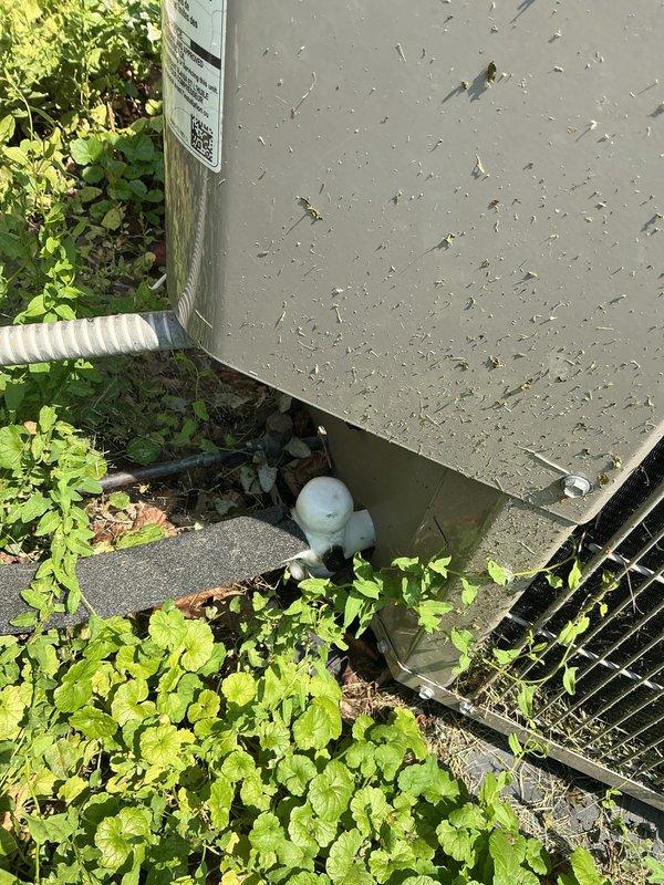 Responded to no-cooling call for 10-year-old air conditioning system with equipment located in basement. Upon arrival, performed diagnostic evaluation of both indoor and outdoor units, inspecting electrical connections, refrigerant lines, condensate drainage system, and control wiring at basement air handler and exterior condensing unit. System was successfully restored to operational status and verified proper cooling function prior to departure.