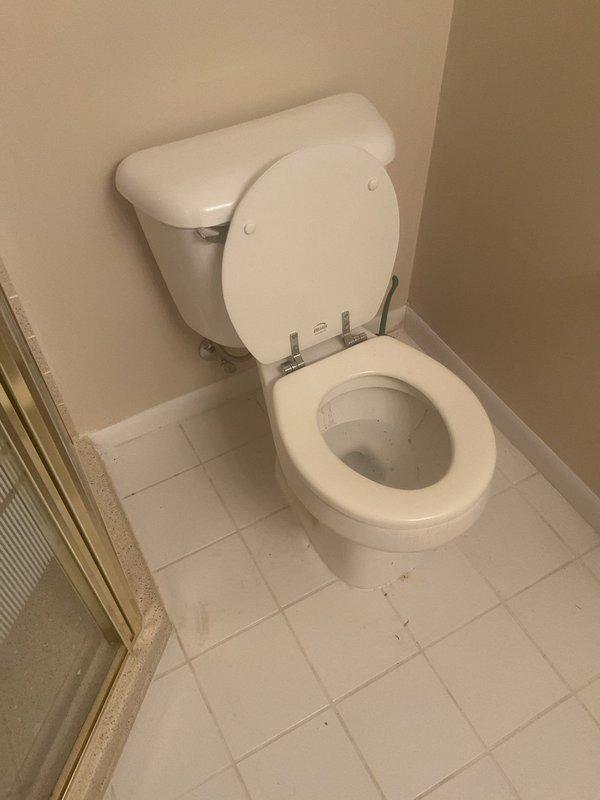 Responded to clogged utility sink in basement with complete blockage and foul odor. Upon arrival, found sink basin full of standing water with significant drainage obstruction isolated to the utility sink fixture only. Cleared drain line blockage, restored proper drainage flow, and verified system operation. Sink now draining properly with no odor present.