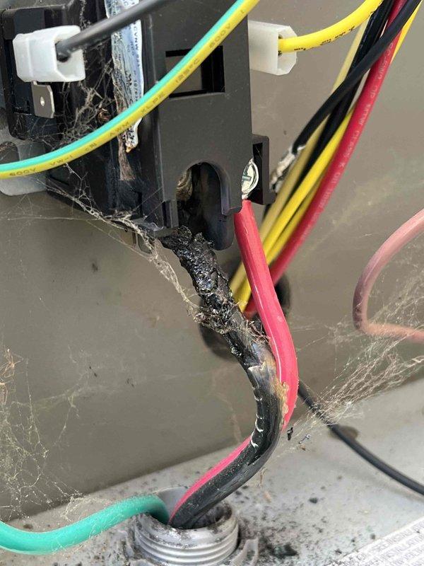 Responded to no cooling call on one-year-old air conditioning system located in basement. Upon inspection, found control board compartment heavily contaminated with cobwebs and dust accumulation around safety switches, relay components, and wiring connections. Cleaned all electrical components, removed debris from control panel, verified proper wire connections at terminal blocks and relay contacts, and restored system to normal operation with cooling functionality confirmed.