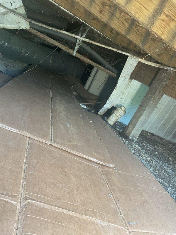 Responded to emergency service call for damaged main PVC pipe with active septic leakage in crawl space beneath residential structure. Upon inspection, accessed underhome area through exterior utility access point and located compromised section of main waste line. Existing copper supply lines and gate valves showed significant age and corrosion but remained functional. Assessed damage to PVC drainage system, identified leak source, and performed necessary repairs to compromised pipe section. Verified proper flow and eliminated active septic discharge into crawl space. Recommended ongoing monitoring of older plumbing components due to visible oxidation on copper fixtures and valves.