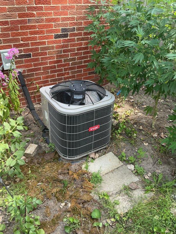 Completed comprehensive Gold-level maintenance inspection on residential HVAC system including 1-year-old furnace located in basement and 8-year-old outdoor condensing unit. Performed thorough examination of furnace interior components including blower motor assembly, electrical connections, control module, and wiring harnesses; verified all connections secure and components operating within normal parameters. Inspected outdoor air conditioning condenser unit positioned on concrete pad against exterior brick wall; evaluated cabinet condition, coil cleanliness, and overall system operation. Both units found to be in good working condition with no immediate service needs identified during this preventative maintenance visit.