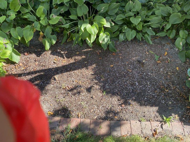 Completed installation of 18kW standby generator system with 100-amp automatic transfer switch. Work included electrical connections to existing 200-amp service panel, gas pipe installation to fuel source, installation of exterior PVC conduit along brick wall for electrical wiring runs, and all associated mechanical and electrical components per code requirements. Permits were requested for mechanical, electrical, generator, gas piping, and service work, with all installations photographed for documentation and final inspection readiness.