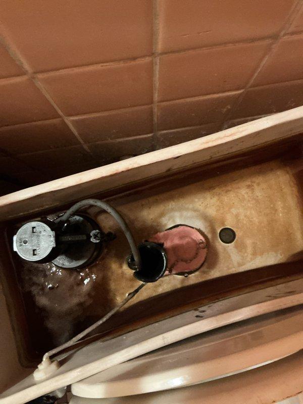 Responded to service call for continuously running toilet. Upon inspection, found deteriorated flush valve flapper and compromised fill valve components causing constant water flow. Toilet tank interior showed significant mineral buildup and hard water staining indicating prolonged operational issues. Assessed internal tank mechanisms including flush valve assembly, fill valve, and associated rubber components for wear and functionality. Documented existing conditions showing discolored flapper seal and aged internal hardware requiring replacement to restore proper operation and prevent water waste.