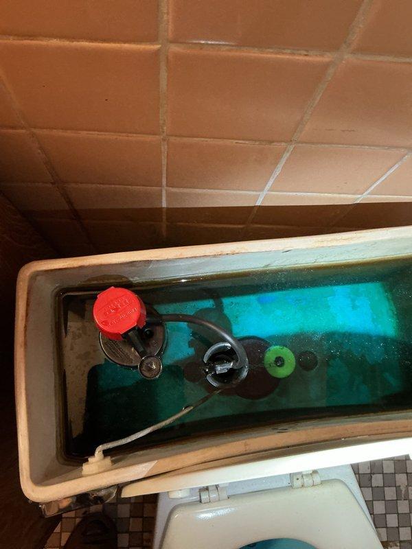 Responded to service call for continuously running toilet. Upon inspection, found deteriorated flush valve flapper and compromised fill valve components causing constant water flow. Toilet tank interior showed significant mineral buildup and hard water staining indicating prolonged operational issues. Assessed internal tank mechanisms including flush valve assembly, fill valve, and associated rubber components for wear and functionality. Documented existing conditions showing discolored flapper seal and aged internal hardware requiring replacement to restore proper operation and prevent water waste.