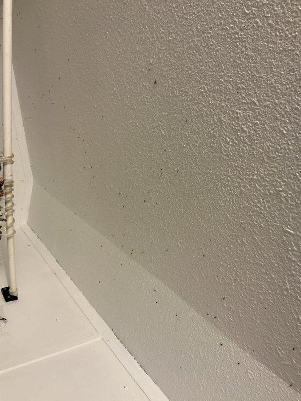 Responded to persistent drain clog that had previously been snaked. Performed video camera inspection of the drain line to identify blockage location and condition of piping. Conducted crawl space inspection beneath the structure to assess piping configuration and condition for additional toilet installation.
