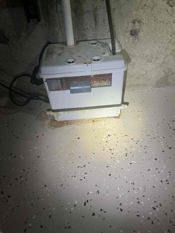 Responded to service call regarding propane or rotten egg odor detected near boiler exhaust pipe outside residence. Inspected 4-year-old wall-mounted boiler unit and associated hydronic baseboard heating system located in basement. Performed thorough examination of combustion chamber, heat exchanger, exhaust venting, and flue connections to identify source of gas odor. Checked all gas line connections, fittings, and valves for leaks using appropriate detection methods. Evaluated condensate pump operation and drainage system, noting customer concern about potential pump failure. Tested condensate pump functionality, inspected discharge lines, and verified proper condensate removal from boiler. Examined expansion tank, pressure relief valve, and circulating pump components. Assessed all copper piping connections and zone valves for proper operation. Verified electrical connections at control box and confirmed all safety controls functioning within manufacturer specifications. Documented 
