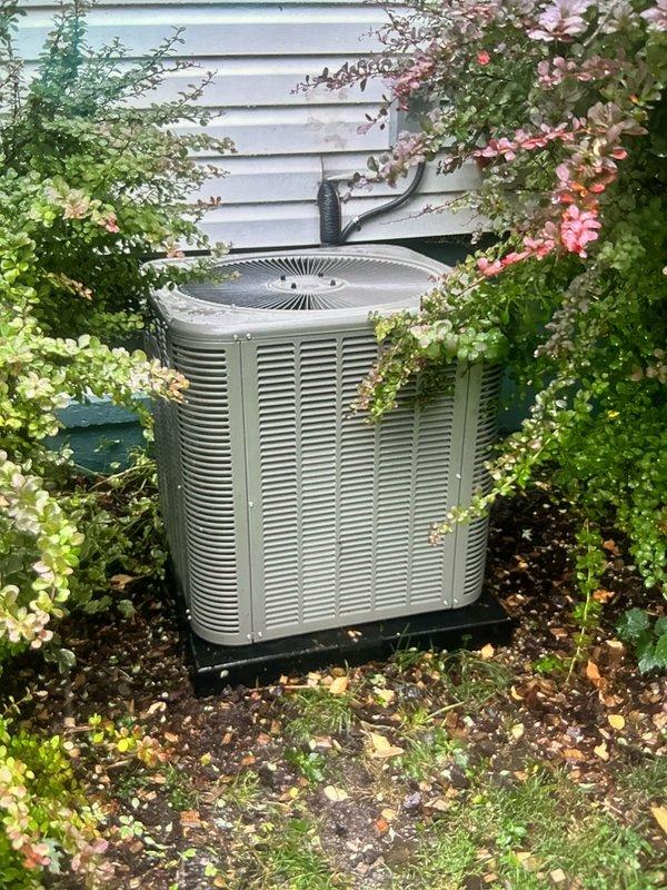 Completed comprehensive Gold AC and furnace inspection on 2024/2025 equipment with air handler located in basement. Performed thorough examination of outdoor condensing unit, verifying proper operation of compressor, condenser fan motor, and refrigerant levels. Inspected condenser coil fins for debris accumulation and airflow obstruction, noting unit positioned on stable platform with adequate clearance from landscaping. Checked electrical connections, contactor operation, and capacitor ratings on outdoor unit.

Conducted detailed furnace inspection, examining burner assembly, heat exchanger, and gas delivery system components. Verified proper operation of ignition system and flame sensors. Inspected blower motor assembly and checked belt tension and condition where applicable. Examined all electrical connections including control board wiring and safety circuits. Verified proper function of LED diagnostic codes and status indicators. Checked condensate drainage system for proper opera