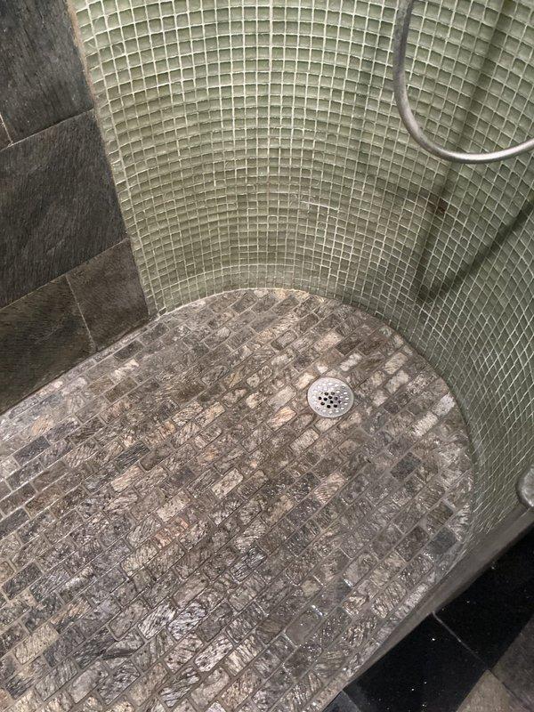 Performed hydro-jetting service on basement underfloor main drain line as part of annual preventative maintenance to clear accumulated buildup and restore proper flow. Additionally snaked shower drain in bathroom to remove obstruction and ensure adequate drainage through fixture.