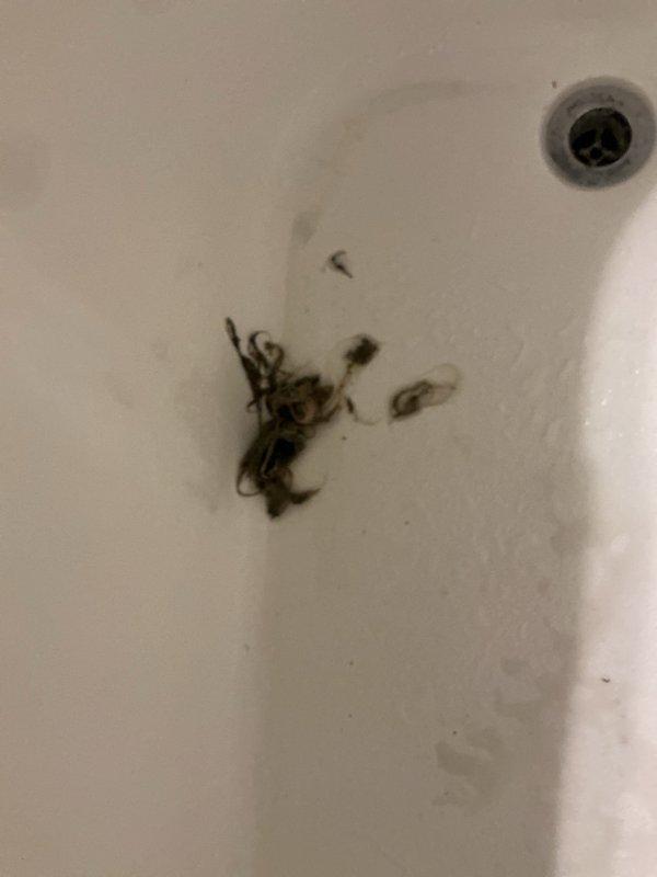 Responded to first-floor bathtub drainage issue and malfunctioning shower diverter control. Upon inspection, found tub drain slow due to debris accumulation in the drain assembly. Removed and cleaned drain stopper mechanism, clearing hair and organic matter from the drain opening. Tested drainage flow and confirmed proper operation. Examined shower diverter valve and found internal components corroded and binding, preventing proper switching between tub spout and showerhead. Serviced diverter mechanism, applying appropriate lubricant to restore smooth operation. Cycled diverter multiple times to verify full range of motion and proper function. Both fixtures now operating as intended with no leaks observed at any connection points.