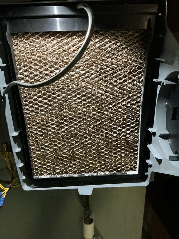 Completed scheduled maintenance tune-up on two-year-old gas furnace located in basement under active membership plan. Performed comprehensive system inspection including burner assembly operation verification, flame sensor analysis, and electrical control component examination. Inspected and assessed humidifier filter condition showing normal dust accumulation for service interval. All burners igniting properly with consistent blue flame pattern across assembly, indicating proper gas-air mixture and combustion efficiency. Verified all safety controls, limit switches, and wiring connections secure and functioning within manufacturer specifications. System operating at optimal performance with no deficiencies noted.