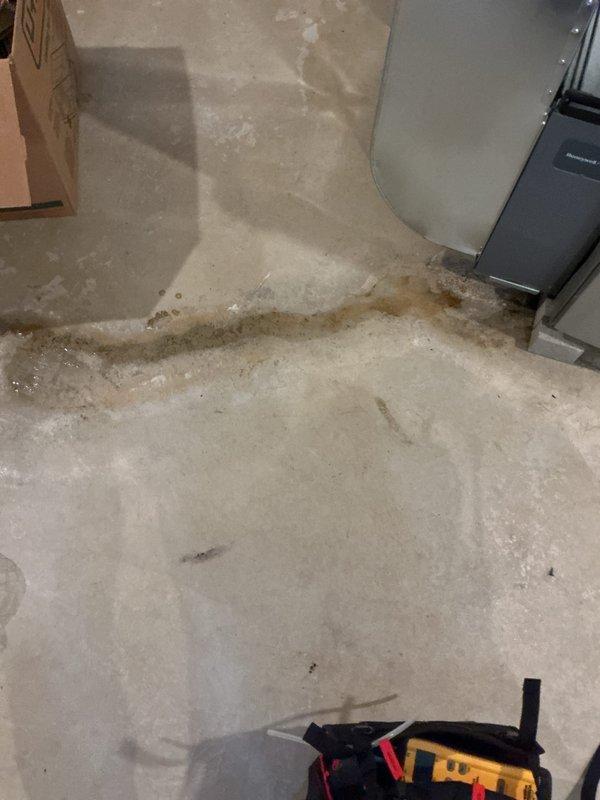 Completed Gold Furnace Inspection on residential heating system located in basement. Unit has been in service for approximately 2 years and is currently operating within normal parameters. Performed comprehensive inspection of furnace components, verified proper system functionality, and documented equipment condition through photographic records. Noted significant water staining on concrete floor surrounding nearby water heater, indicating potential moisture concerns in the mechanical area that should be monitored. All furnace safety controls tested and confirmed operational. System airflow and combustion parameters verified to be within manufacturer specifications.