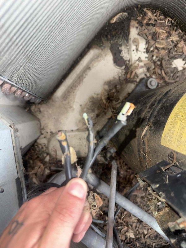 Responded to callback for 10-year-old outdoor AC unit not cooling following recent repair. Upon arrival, discovered extensive debris accumulation throughout condensing unit including leaves, twigs, and organic material obstructing airflow. Found significant dirt and grime buildup on internal components, electrical connections, and housing surfaces indicating lack of routine maintenance. Inspected electrical wiring and connections, noting discoloration on metal surfaces and corrosion around component ports. Thoroughly cleaned debris from unit interior, removed organic matter from condensing coil fins and surrounding areas. Cleaned electrical connection points and verified proper wire terminations. Addressed corrosion concerns on affected components. Cleared all obstructions from airflow pathways and verified system operation. Unit returned to normal cooling operation after cleaning and restoration of proper airflow.