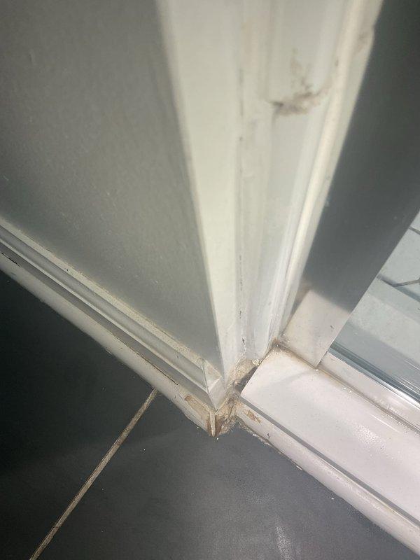Responded to a water leak issue affecting the basement originating from the first-floor bathroom shower, which had been occurring for approximately 30 days. Upon investigation, located the source of the leak at the shower drain assembly penetrating through the floor into the basement ceiling below. Accessed the affected area from the basement side where water damage and staining were evident at the wall-ceiling junction. Removed damaged ceiling material and insulation to expose the leaking plumbing connection. Repaired the compromised shower drain seal and reinforced the pipe connection to eliminate water intrusion. Applied appropriate sealant and insulation materials to the repaired section. Documented the existing water damage and staining on basement walls and flooring near the leak location. The leak has been successfully stopped and the plumbing connection secured.