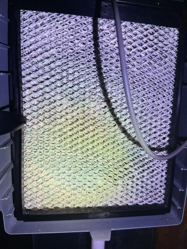 Completed preventative maintenance inspection on 6-year-old residential furnace located in basement. Inspected and replaced faulty flame sensor probe, which showed signs of carbon buildup affecting system operation. Checked air filter condition and found filter media within acceptable parameters with proper airflow through diamond-pattern mesh. Verified all safety controls, tested ignition sequence, and confirmed proper system operation upon completion.