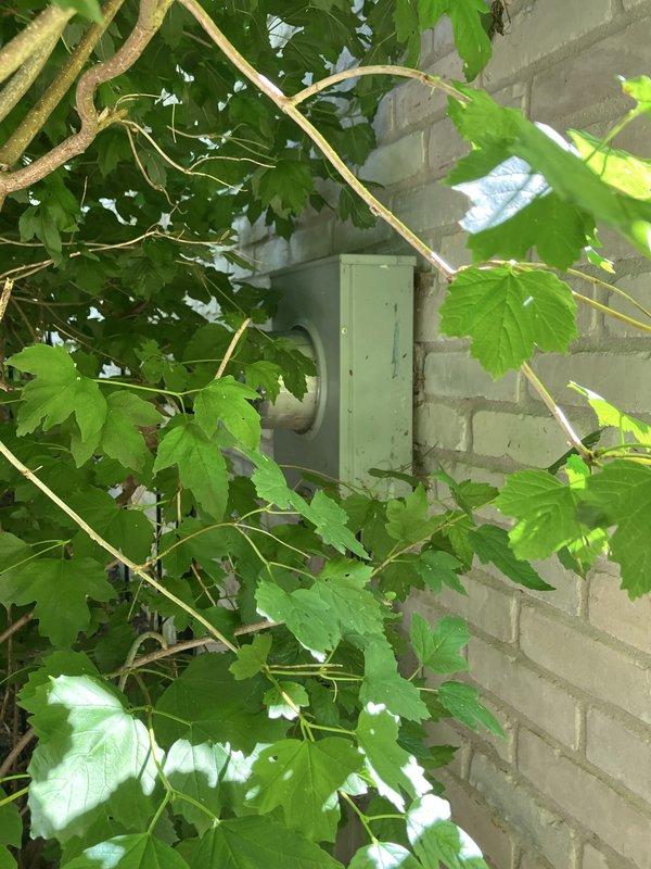 Conducted site assessment for generator installation estimate at residential property. Evaluated existing electrical infrastructure and gas meter configuration to determine specifications for new standby generator system. Documented current utility connections, including gas metering equipment with temperature compensation and existing electrical panel location on exterior wall. Photographed installation site conditions, noting vegetation clearance requirements and accessibility for equipment placement. Provided comprehensive measurements and site specifications necessary for preparing detailed generator replacement proposal.