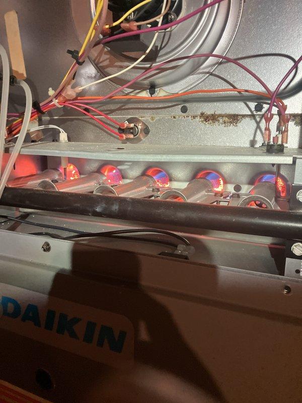Completed comprehensive tune-up and inspection on 2021 Daikin forced air system located in basement. Performed full furnace inspection with burner assembly operational check, confirmed all ignition points firing properly and gas valve functioning correctly. Inspected blower motor assembly and internal wiring connections, noting minor debris accumulation on base pan that was addressed. Verified all electrical connections secure and system operating within manufacturer specifications.