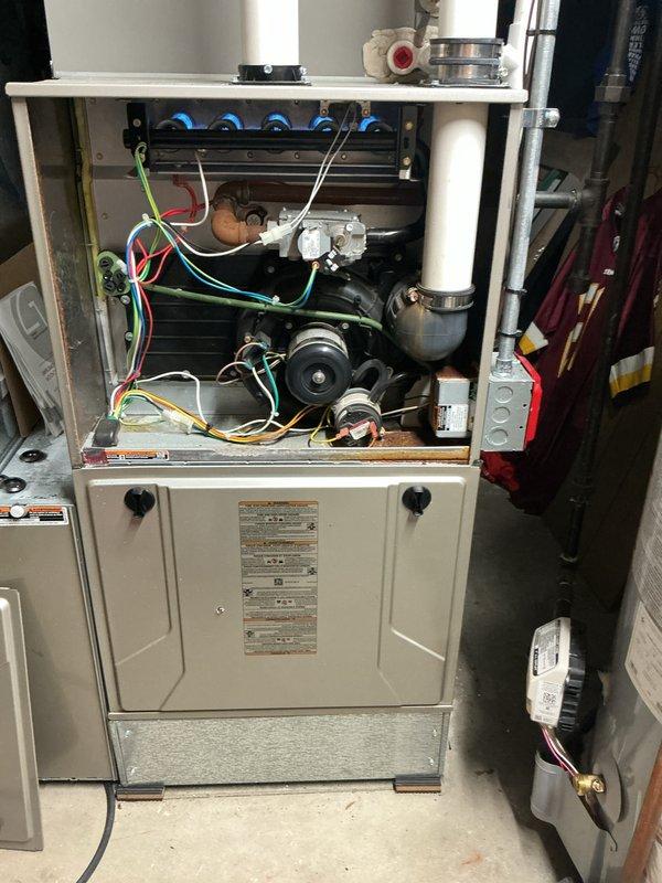Completed comprehensive Gold Furnace Inspection on basement-located forced air heating system. Performed full combustion analysis using diagnostic meter, confirming CO readings at 16 PPM, CO2 at 8.2%, and combustion efficiency at 89.2% with 45.5% excess air. Inspected all internal components including blower motor assembly, burner ports, heat exchanger, electrical connections, and gas valve operation. All systems operating within manufacturer specifications with no safety concerns identified.