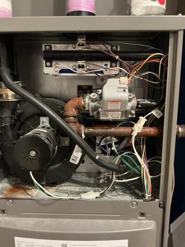 Completed furnace inspections on three units at a multi-unit residential property, including two systems located in the basement and one on the second floor. All units are 2019 models in operational condition. Performed standard tune-up procedures including visual inspection of gas valve assemblies, electrical connections, blower motors, and wiring harnesses; verified proper component operation and documented equipment condition with photographs showing internal components and control systems.