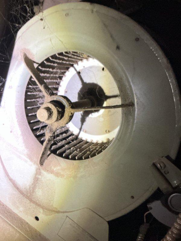 Responded to no heat call on 14-year-old furnace located in crawlspace with dirt floor, accessed through 2.5-foot opening in backyard. Upon inspection, found unit attempting to run with thermostat calling for heat. Examined blower assembly and housing, noting significant dust and debris accumulation on blower wheel and interior surfaces consistent with age and lack of maintenance. Assessed ductwork and mechanical components in confined crawlspace environment, documenting condition of aging equipment and contamination levels affecting system performance.