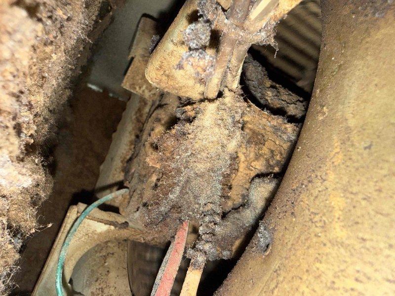 Responded to no-heat call on main floor Vexar furnace following recent service visit. Upon arrival, performed comprehensive system diagnostics including thermostat functionality verification and furnace operation testing. Inspection revealed severely corroded gas valve assembly and associated piping components with heavy rust accumulation affecting mechanical operation. Corroded connections prevented proper gas valve actuation, resulting in failure to initiate heating cycle. Cleaned accessible corroded components and tested system operation. Advised of extensive corrosion throughout gas train requiring immediate attention for safe continued operation. Unit operational at time of departure with recommendations provided for necessary repairs to address underlying corrosion issues affecting system reliability.