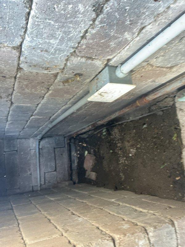 Completed gas line replacement in basement/foundation area of residential property. Removed deteriorated existing gas piping and installed new code-compliant gas line through crawl space with exposed brick archway ceiling and concrete block foundation walls. Secured new piping with proper mounting brackets and ensured all connections meet current safety standards and local building codes.