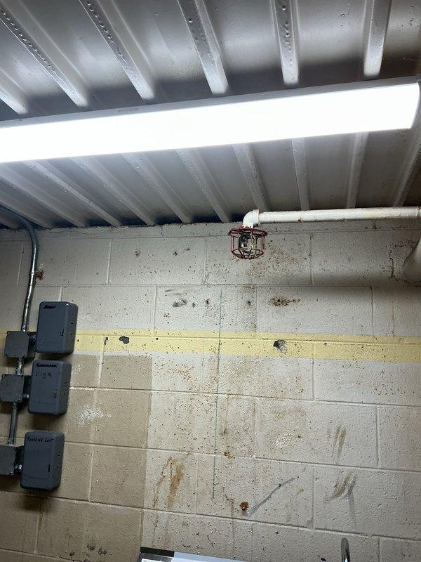 Responded to commercial service call for non-functioning fluorescent light fixture in basement utility area. Upon inspection, identified failed fluorescent lamp in ceiling-mounted fixture above concrete block wall space. Replaced defective fluorescent tube with new lamp, verified proper ballast operation, and restored full illumination to the work area.