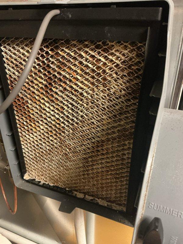 Completed comprehensive tune-up inspection on a 2-year-old residential furnace located in basement. Performed thorough examination of all major components including blower motor assembly, burner assembly with flame sensors, heat exchanger, electrical connections, and control board wiring. Inspected evaporative cooler pad within the system, noting mineral deposits and dust accumulation on the honeycomb cellulose media, which is typical for units in service. Verified proper operation of gas valve controls, checked all wire connections for secure placement, and examined PVC venting system for proper installation. All safety controls, limit switches, and flame sensors tested and functioning within manufacturer specifications. System operational and ready for heating season.