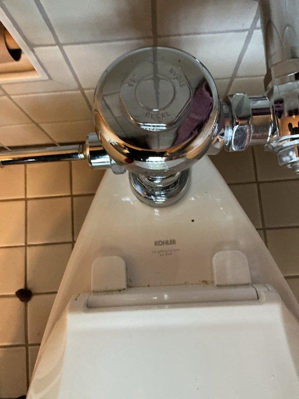 Responded to customer report of toilet issues in residential bathroom. Upon inspection, examined Kohler toilet with chrome flush handle assembly. Photographed flush valve mechanism and handle assembly mounted on tank, noting polished chrome finish and proper mounting configuration. Toilet and flush components appeared to be in functional condition with standard hardware properly installed. Documented existing conditions for service record.