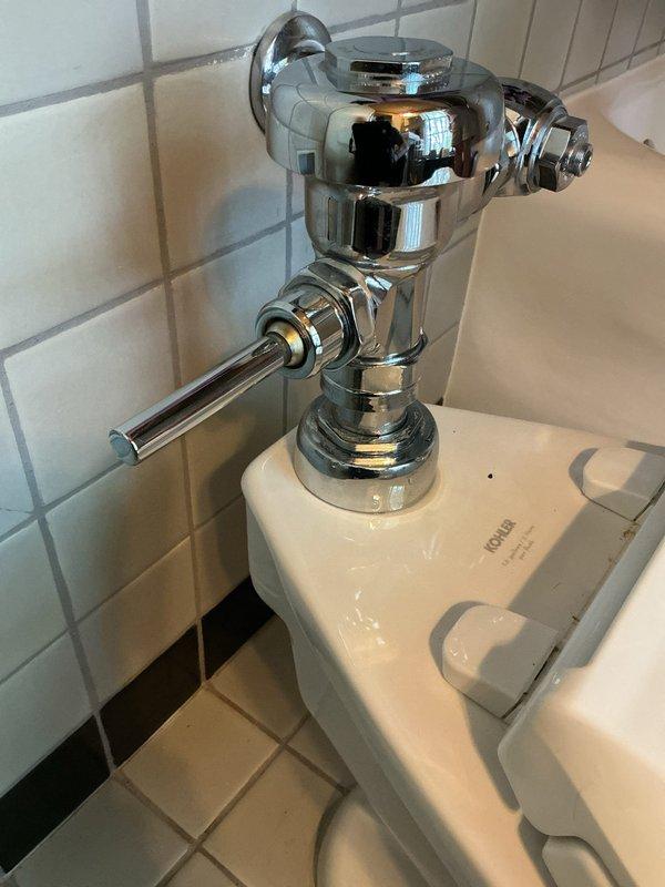 Responded to customer report of toilet issues in residential bathroom. Upon inspection, examined Kohler toilet with chrome flush handle assembly. Photographed flush valve mechanism and handle assembly mounted on tank, noting polished chrome finish and proper mounting configuration. Toilet and flush components appeared to be in functional condition with standard hardware properly installed. Documented existing conditions for service record.